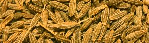 cumin seeds