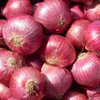 fresh red onion