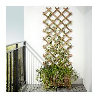 trellis