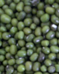 green mung beans