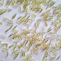 Sughanda Premium Basmati Sella Rice