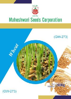 GW-273 Wheat Seeds