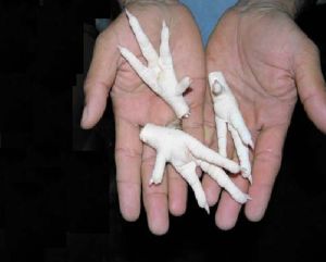 Frozen Whole Chicken, Frozen Chicken Feet