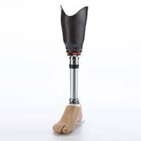 Below Knee Prosthesis
