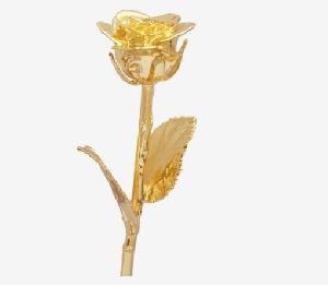 Gold dipped Rose with Vase