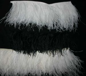 Ostrich Feathers