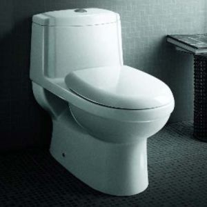 Water Closet (TB222M-L)