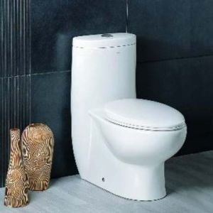 Water Closet (TB309-1M-L)