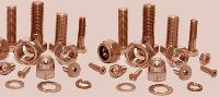 copper nickel screw