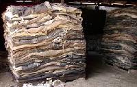 Wet Salted Cattle Hides