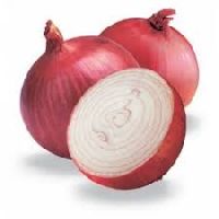 nashik onion