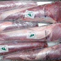 Halal Frozen Tenderloin Meat