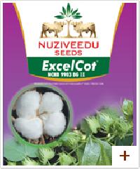 Excel Cot Cotton Seeds