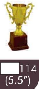 114 05-5 Inches Trophy