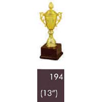 194 13 Inches Trophy