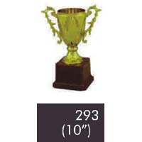 293  10 Inches Trophy