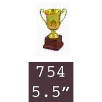 754  05-5 Inches Trophy