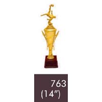 763  14 Inches Trophy