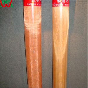 Copper Wire Mesh