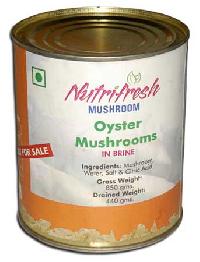 Canned Oyster Mushroom-01