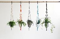 plant hangers