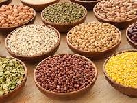 organic pulses