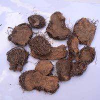 Dioscorea Bulbifera Tuberous Herbs