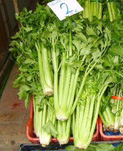 Celery