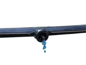 Online Drip system