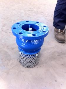 Foot Valve