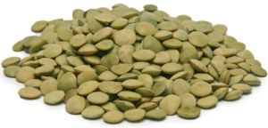 Green Lentil