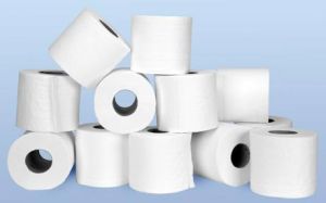 Toilet Paper Rolls