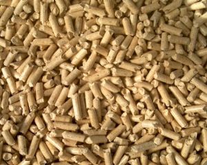 Wood Pellets,  Quality : Superior