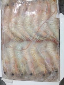Frozen White HOSO Shrimps