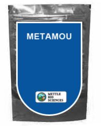Metamou