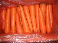 2012 New Jumbo Fresh Carrot
