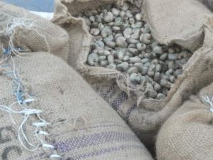 cashew nuts,  Grade Standard : Food Grade