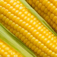 Fresh Corn