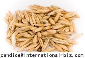 Oat Beta Glucan