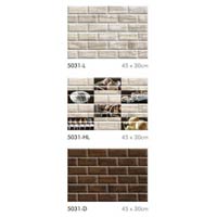 Ceramic Wall Tiles (45x30 cm)