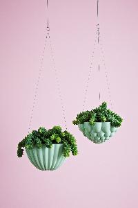 hanging planters and pots