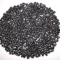 Black Kidney Beans