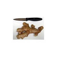 ginger,  Quality Available :A Grade