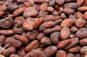 cocoa beans,  Number Of Flower : Food