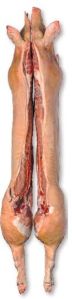 Pork Carcass Montalva