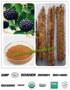 Eleuthero Root Extract