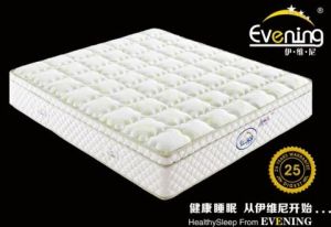 Memory Foam Mattress