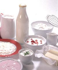 Dairy Ingredients