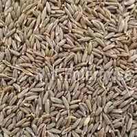 cumin seeds