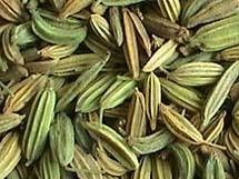 cumin seed